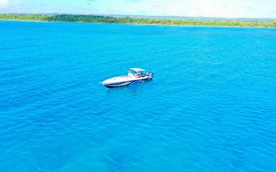 DJI_0389blo-min-scaled