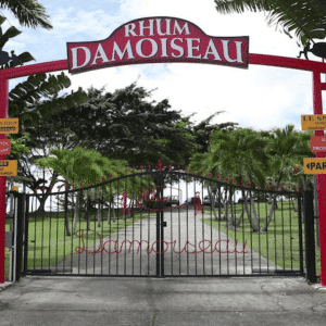 Les activités à faire en Guadeloupe - Visite culturelle et culinaire