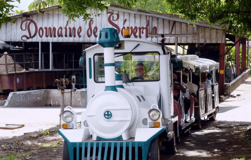 Vendredi des Saveurs : Excursion culinaire en Guadeloupe