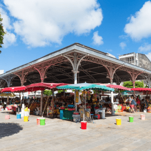 Les activités à faire en Guadeloupe - Visite culturelle