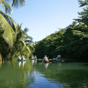 Les activités à faire en Guadeloupe - Visite culturelle