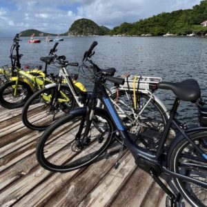 Balade en vélo électrique aux saintes