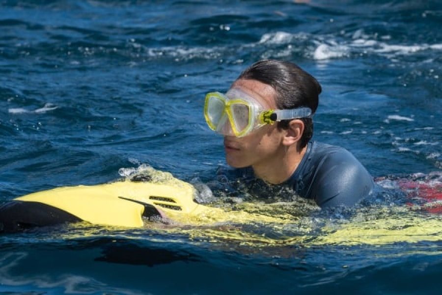 SEA BOB : La nouvelle activité sous-marine pour des sensations fortes